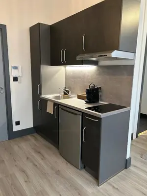 Cuisine ou kitchenette dans l'établissement Studio Amélie