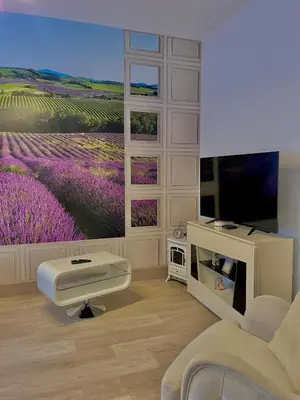 Télévision ou salle de divertissement dans l'établissement L'universal Provençal au coeur de Mulhouse