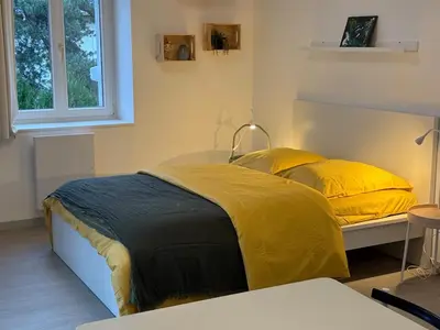 Un ou plusieurs lits dans un hébergement de l'établissement Le Nid de Louise, studio Mulhouse avec terrasse
