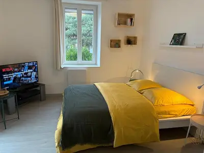 Télévision ou salle de divertissement dans l'établissement Le Nid de Louise, studio Mulhouse avec terrasse