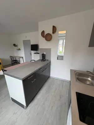 Cuisine ou kitchenette dans l'établissement Appartement Louise Pro et Séjour à Mulhouse pour 4 personnes