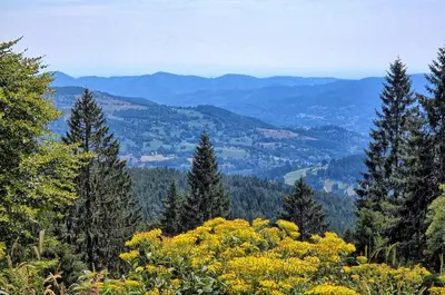 Paysage naturel près de l'appartement