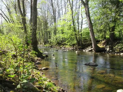 Paysage naturel près de le camping