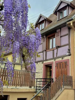 Bâtiment de la maison de vacances