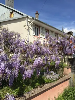 Jardin de l'établissement Vacances au calme