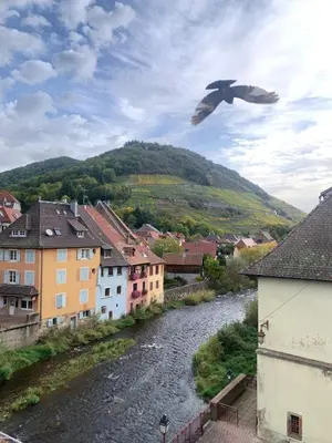 Paysage naturel près de l'appartement