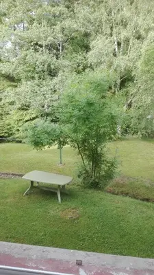 Jardin de l'établissement Charmante maison à Xonrupt-Longemer, 80 m² avec jardin