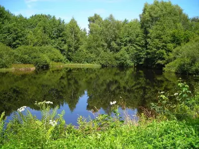 Paysage naturel près de la maison de vacances