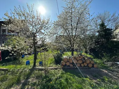 Jardin de l'établissement Maison 5 personnes