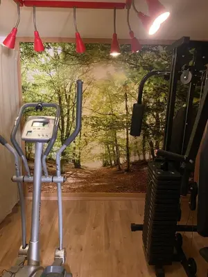 Salle ou équipements de sports de l'établissement Le Fenil-Logis Sauna Bain Nordique Salle cinéma