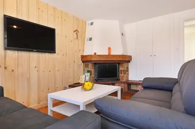 Télévision ou salle de divertissement dans l'établissement Le Manalac votre Appartement 4-6P au centre ville