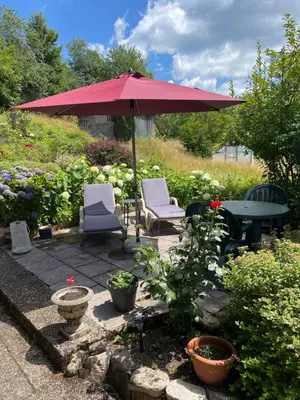 Jardin de l'établissement La Chambre d'hôte