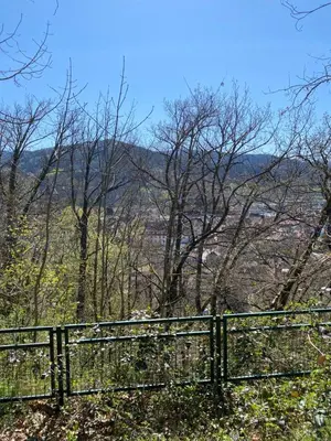 Paysage naturel près de le camping