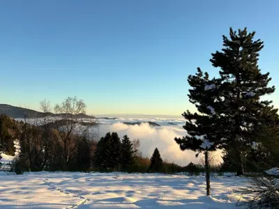 Paysage naturel près de l'appartement