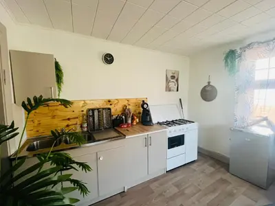Cuisine ou kitchenette dans l'établissement L'appart avec jardin