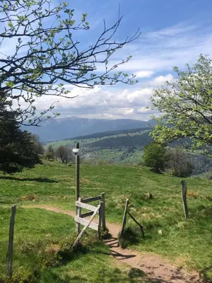 Paysage naturel près de l'appartement