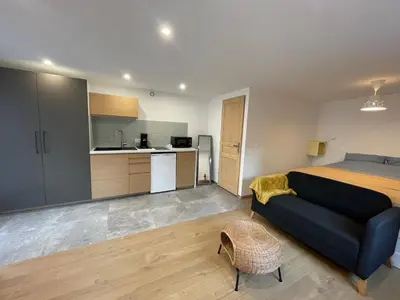 Cuisine ou kitchenette dans l'établissement Cozy Studio in a central and quiet area near Basel
