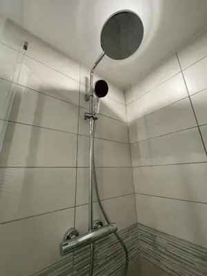 Salle de bains dans l'établissement Cozy Studio in a central and quiet area near Basel