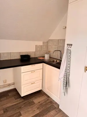 Cuisine ou kitchenette dans l'établissement Appartement le Fonki st louis centre