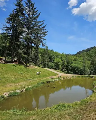 Paysage naturel près de la maison de vacances