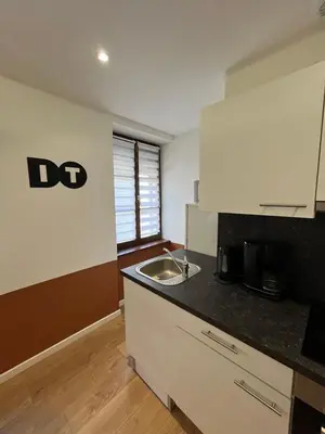 Cuisine ou kitchenette dans l'établissement Superbe appartement atypique au cœur de Mulhouse