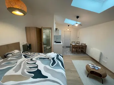 Un ou plusieurs lits dans un hébergement de l'établissement Zenith spacious studio in a central and quiet area near Basel