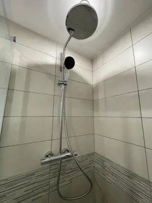 Salle de bains dans l'établissement Zenith spacious studio in a central and quiet area near Basel