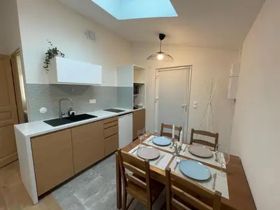 Cuisine ou kitchenette dans l'établissement Zenith spacious studio in a central and quiet area near Basel
