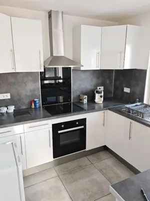 Cuisine ou kitchenette dans l'établissement Appartement proche Aéroport