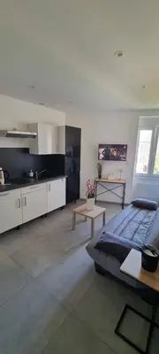 Cuisine ou kitchenette dans l'établissement Magnifique studio meublé