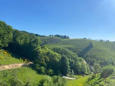 Paysage naturel près de l'appartement