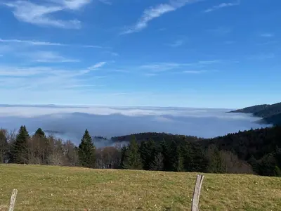 Paysage naturel près de l'appartement