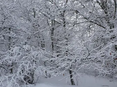 L'établissement Gîte lumineux pour 2 personnes dans les Hautes-Vosges - FR-1-589-811 en hiver