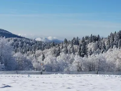 L'établissement Gîte lumineux pour 2 personnes dans les Hautes-Vosges - FR-1-589-811 en hiver