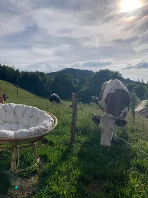 Paysage naturel près de le camping