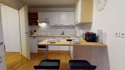 Cuisine ou kitchenette dans l'établissement Colmarappart Rue Des Clefs