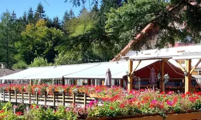 Jardin de l'établissement Gite panoramique et Spa de Liézey Les Jonquilles