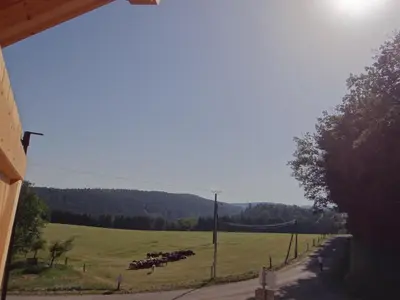 Paysage naturel près de la maison de vacances