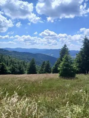 Paysage naturel près de le chalet