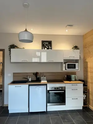 Cuisine ou kitchenette dans l'établissement Appartement à La Bresse - cadre naturel et calme