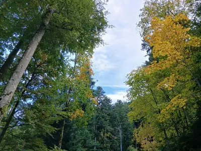 Paysage naturel près de la maison de vacances