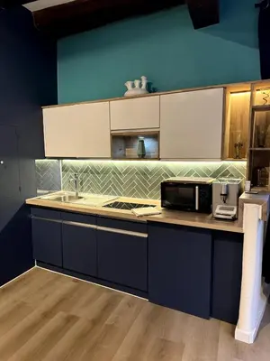 Cuisine ou kitchenette dans l'établissement Les Suites Schwendi en Hypercentre