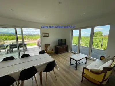Télévision ou salle de divertissement dans l'établissement COLMAR and C0