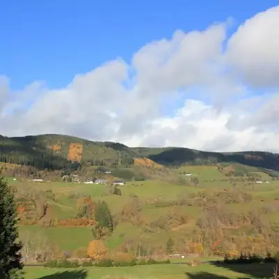 Gîte Les Jonquilles IV
