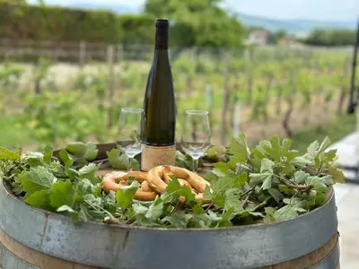 Plan de l'établissement COLMARandCo au coeur des vignes