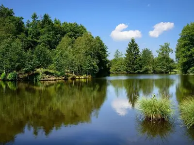 Paysage naturel près de la maison de vacances