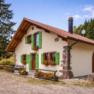 Gîte chaleureux dans les Vosges avec cheminée - FR-1-583-437