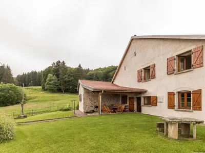 Jardin de l'établissement Ancienne ferme rénovée dans les Vosges - FR-1-583-487