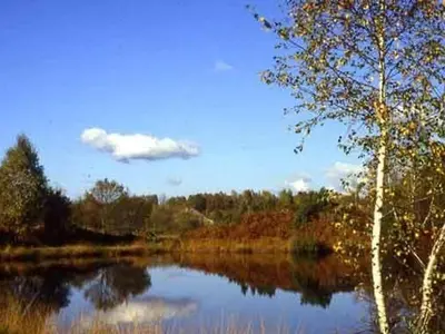 Paysage naturel près de la maison de vacances