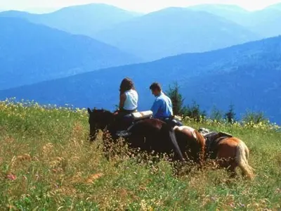 Clients de l'établissement Chalet Campanules 37 - Nature, Randonnée & Famille - FR-1-583-471